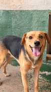 GUS Imagen 1